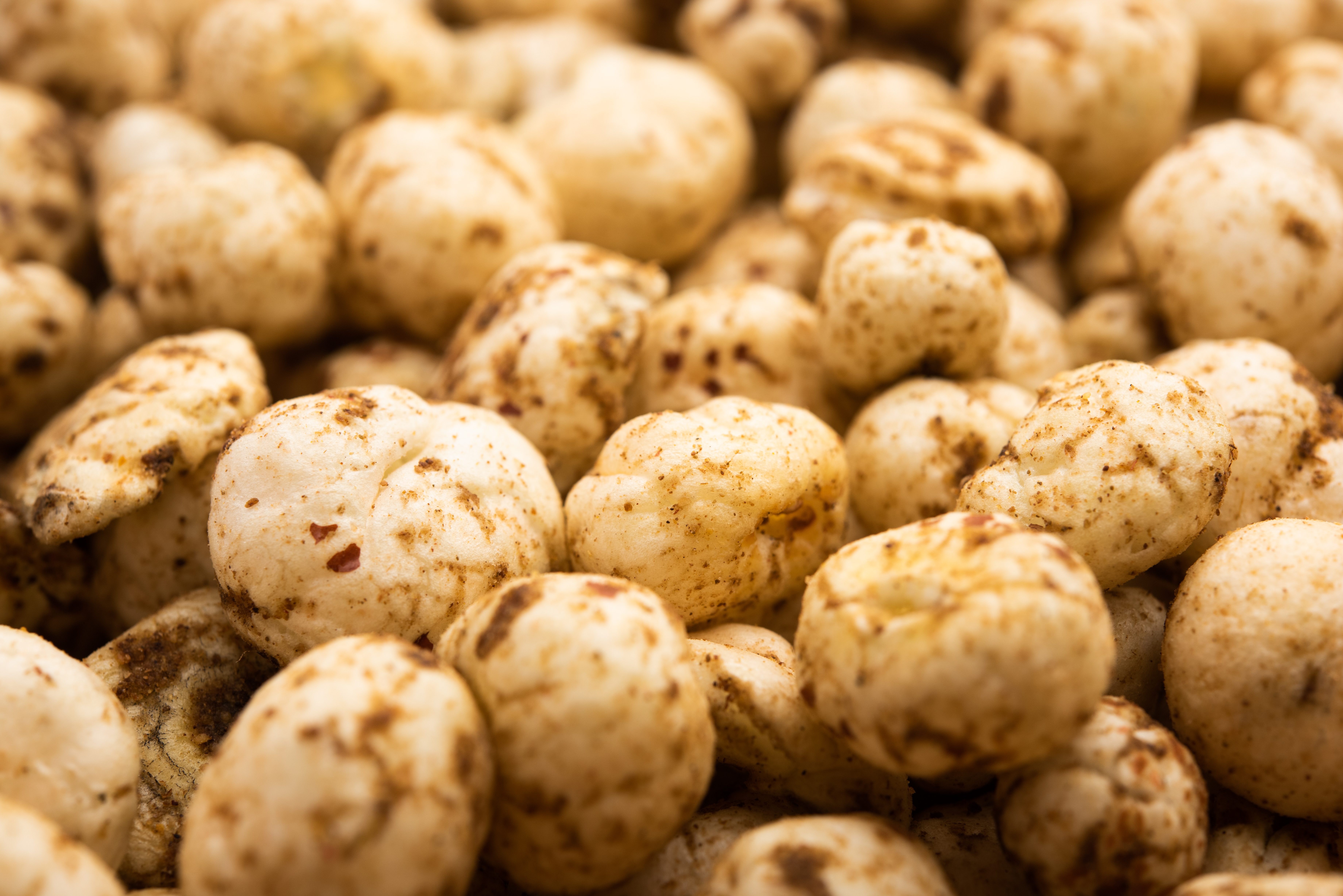 NOPES Premium Makhana